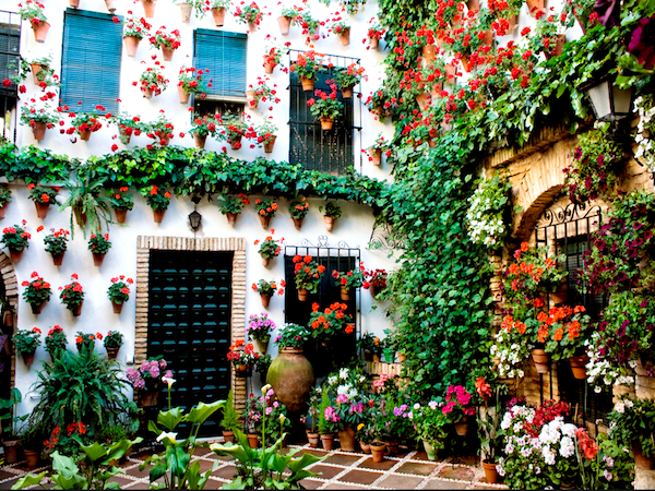Recorriendo los patios de C