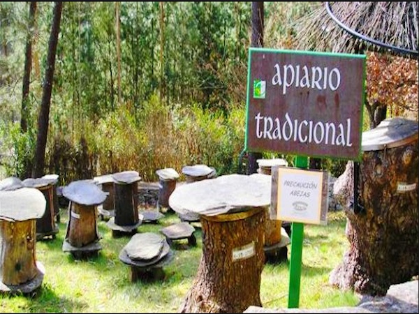 O Enredo do abelleiro, el museo de la miel en A Coru