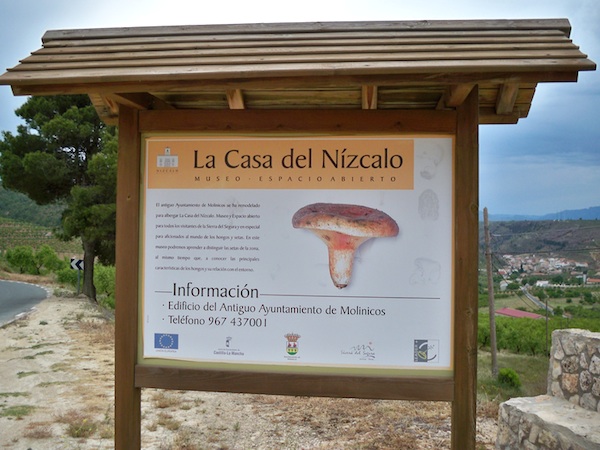 Museo Micológico de Molinicos