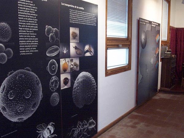 Visita al Centro de Visitantes del Parque Natural del Penyal d'Ifac