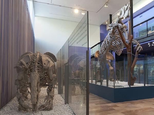 Museo de las Ciencias Naturales de Valencia