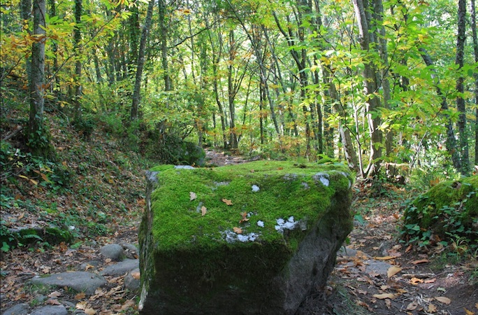 Ruta del Camino del Asentadero al Bosque de los espejos en Salamanca