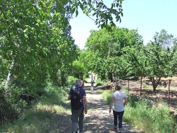 Ruta de El Linar en Salamanca