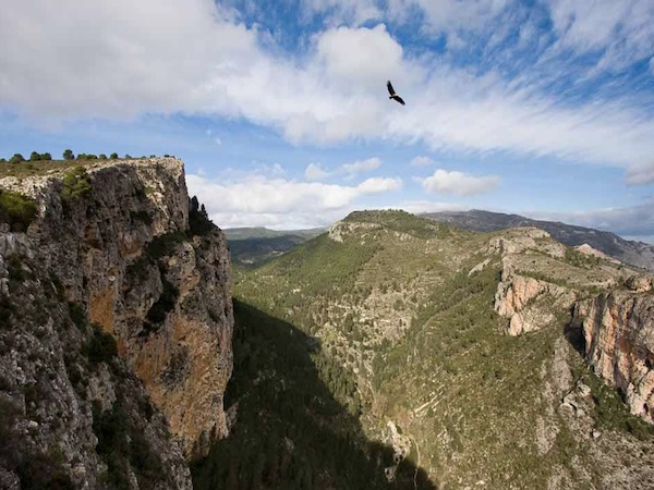 Parque Natural de la Sierra de Mariola, Valencia