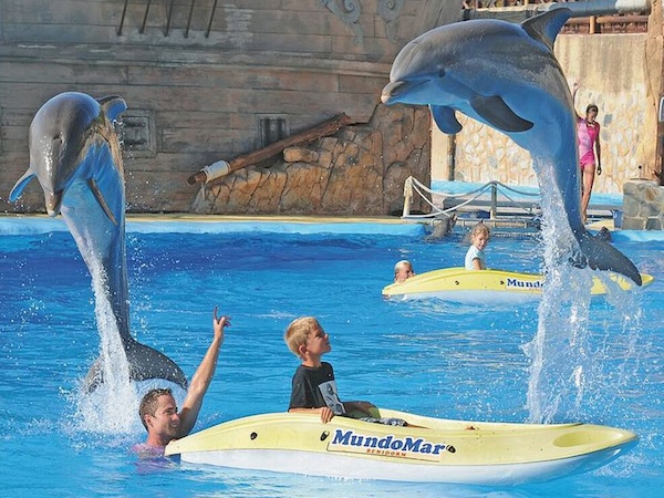 Parque temático Mundomar en Benidorm, Alicante