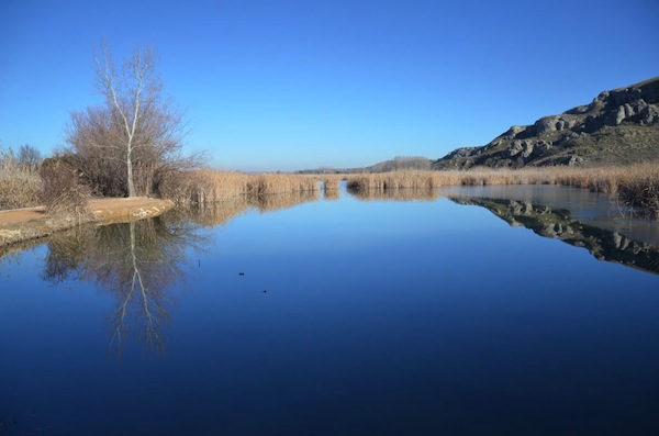 Laguna de San Juan. Titulcia. Chinchón