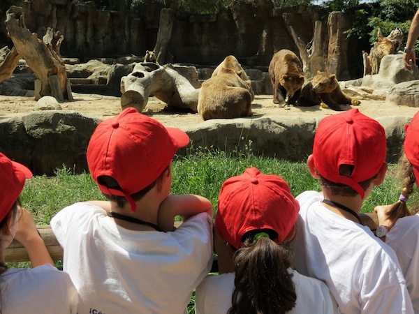 Campamentos Infantiles de Semana Santa en el Zoo Aquarium de Madrid
