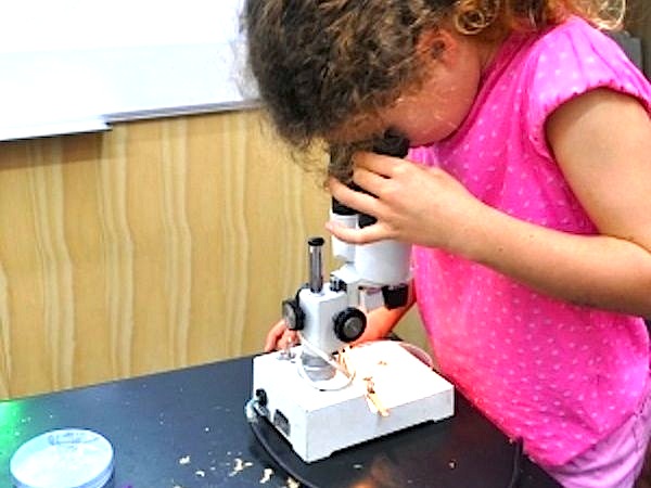 Acampada astronómica en el Museo de la Ciencia y el Cosmos
