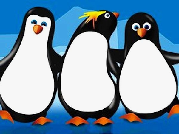 La elegancia del pingüino