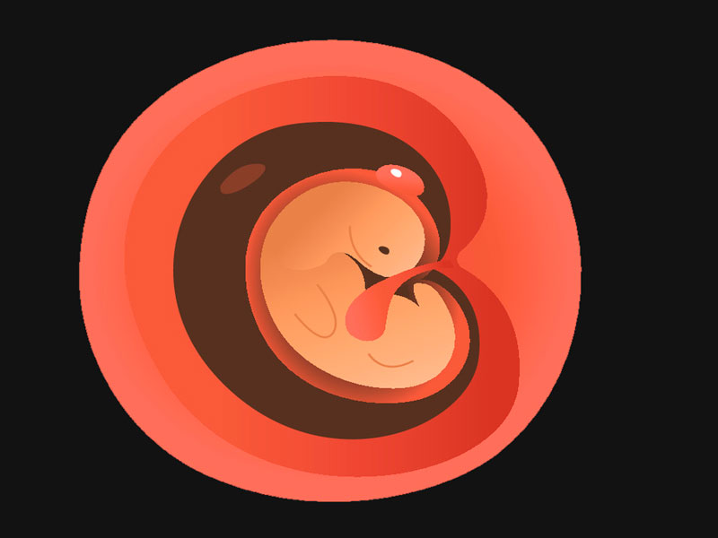 Subvención insondable 945 Desarrollo del bebé en del primer mes de embarazo (en vídeo)