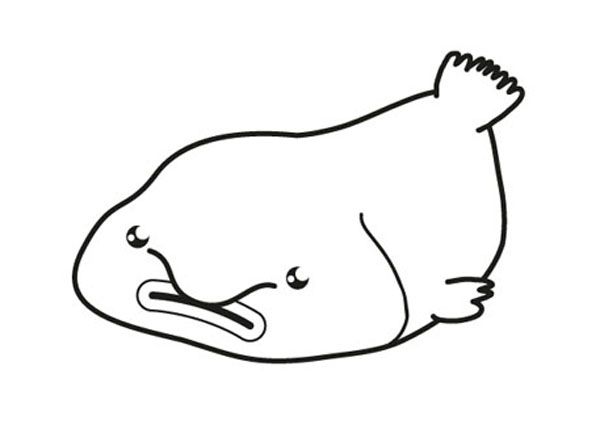 Blobfish: dibujo para colorear e imprimir