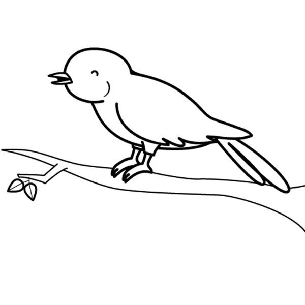 Pajarito piando: dibujo para colorear e imprimir