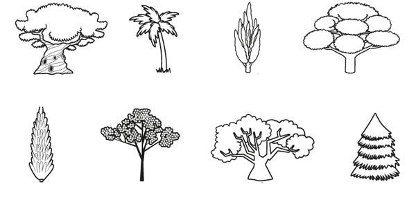 Arboles Dibujo Para Colorear E Imprimir