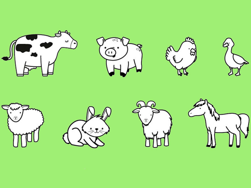  Animales de la granja  dibujo para colorear e imprimir