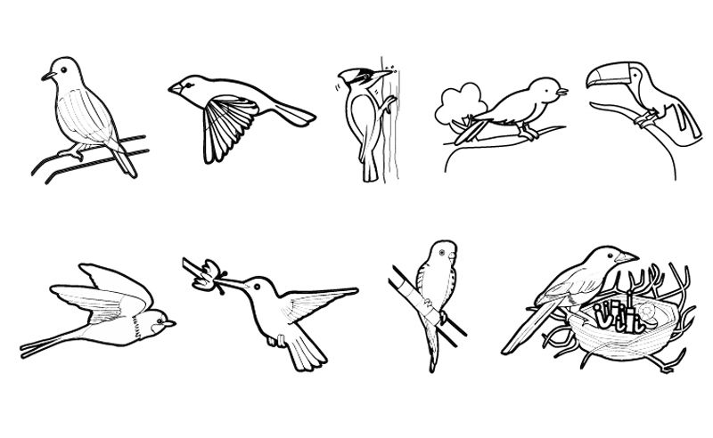 Pájaros: dibujo para colorear e imprimir
