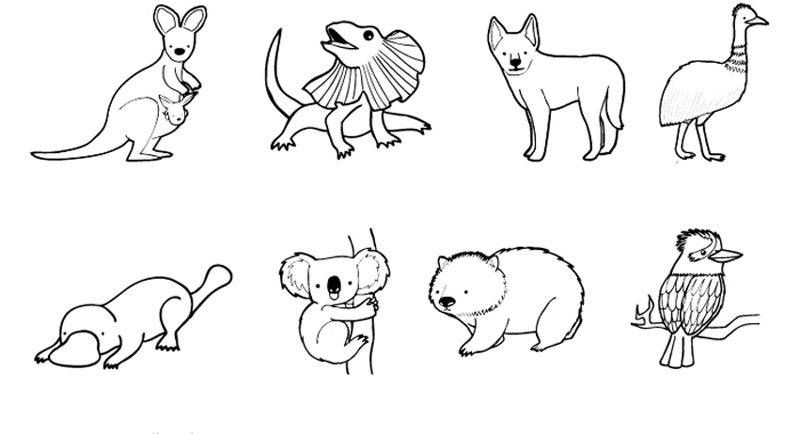 Animales de Australia: dibujo para colorear e imprimir