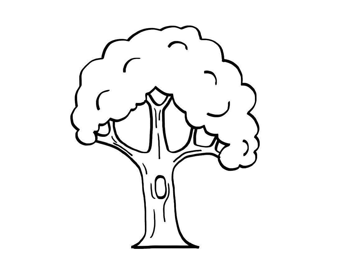 Árbol Dibujo Para Imprimir Y Colorear