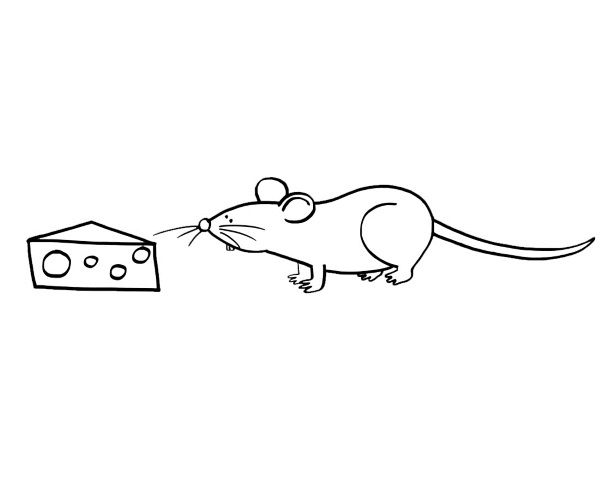 Ratón con queso: dibujo para colorear e imprimir