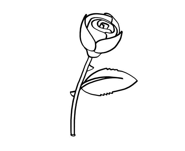 Featured image of post Dibujos De Rosas Faciles Para Ni os Sigan publicando ams imagenes asi