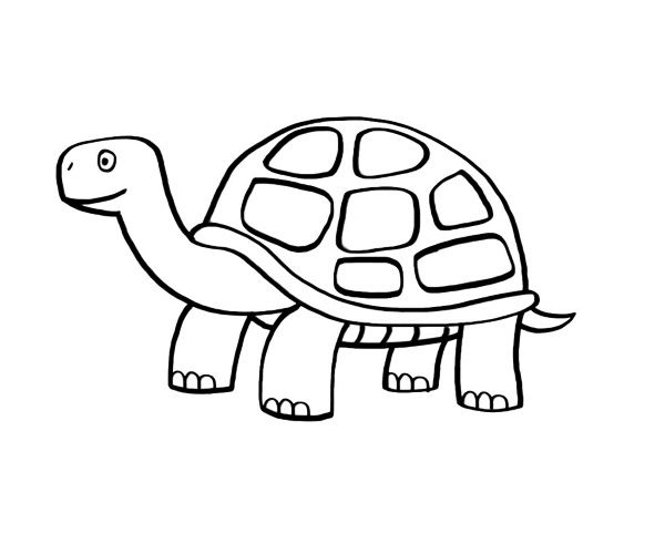 Tortuga: dibujo para colorear e imprimir