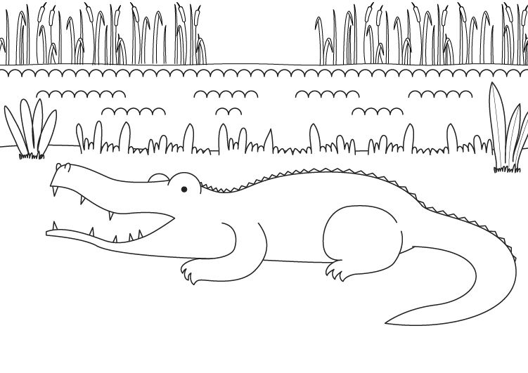 Cocodrilo: dibujo para colorear e imprimir