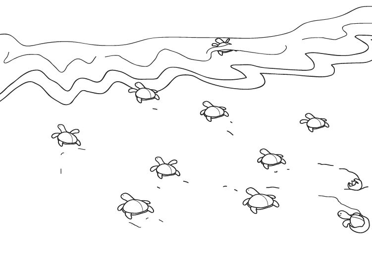 Tortugas marinas: dibujo para colorear e imprimir