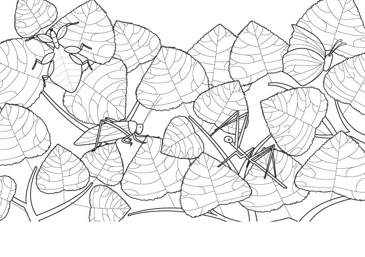 Camuflaje: dibujo para colorear e imprimir