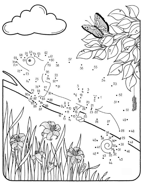 Dibujo de unir puntos de camaleón: dibujo para colorear e imprimir