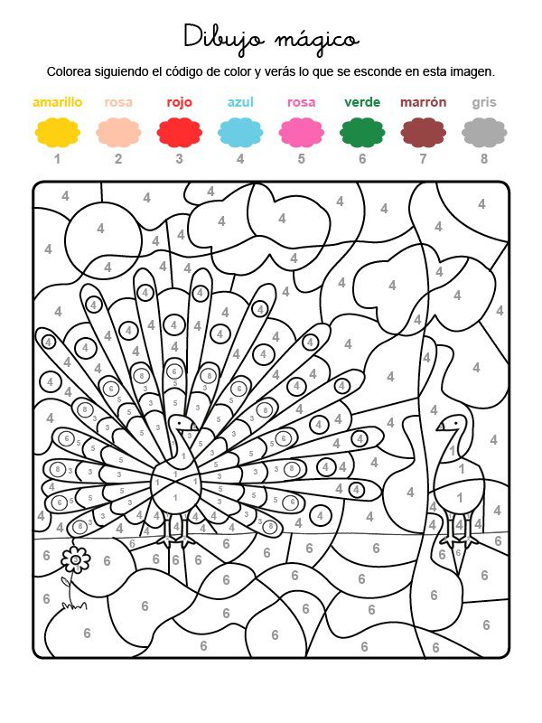 Dibujo mágico de pavo real: dibujo para colorear e imprimir