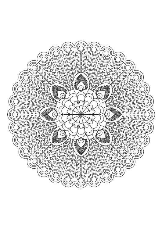 Mandala De Pavo Real Dibujo Para Colorear E Imprimir