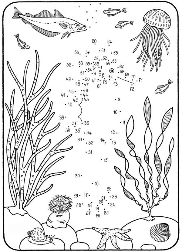 Dibujo de unir puntos de un caballito de mar: dibujo para colorear e imprimir