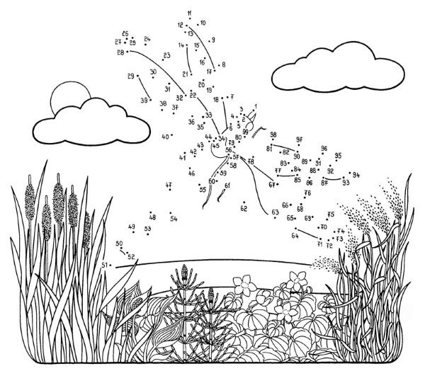 Dibujo de unir puntos de libélula: dibujo para colorear e imprimir