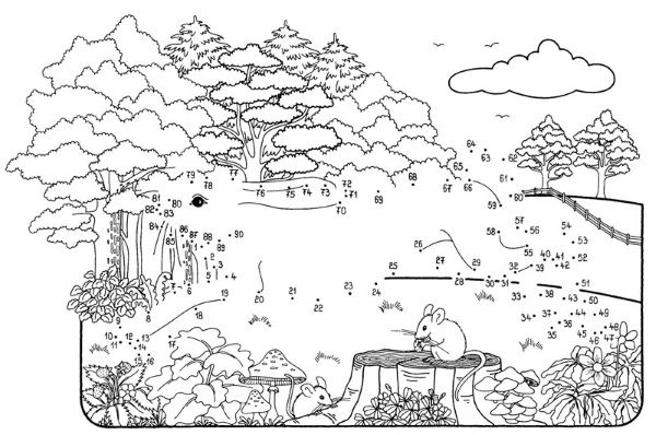 Dibujo de unir puntos de una liebre en el bosque: dibujo para colorear e imprimir