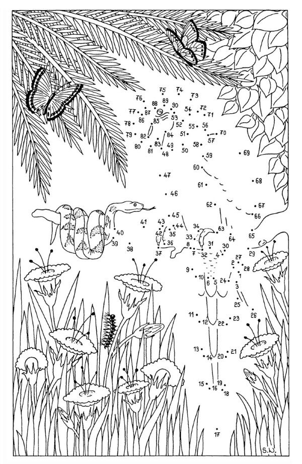 Dibujo de unir puntos de una serpiente y un loro: dibujo para colorear e imprimir