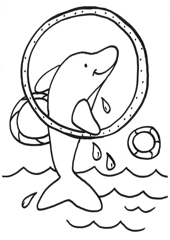 Animales Dibujo Delfin Para Colorear.