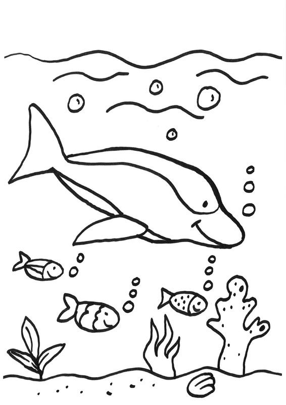 Delfín bajo el agua: dibujo para colorear e imprimir