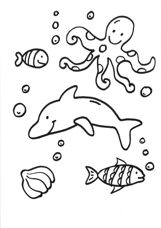 Delfines y animales acuáticos: dibujo para colorear e imprimir