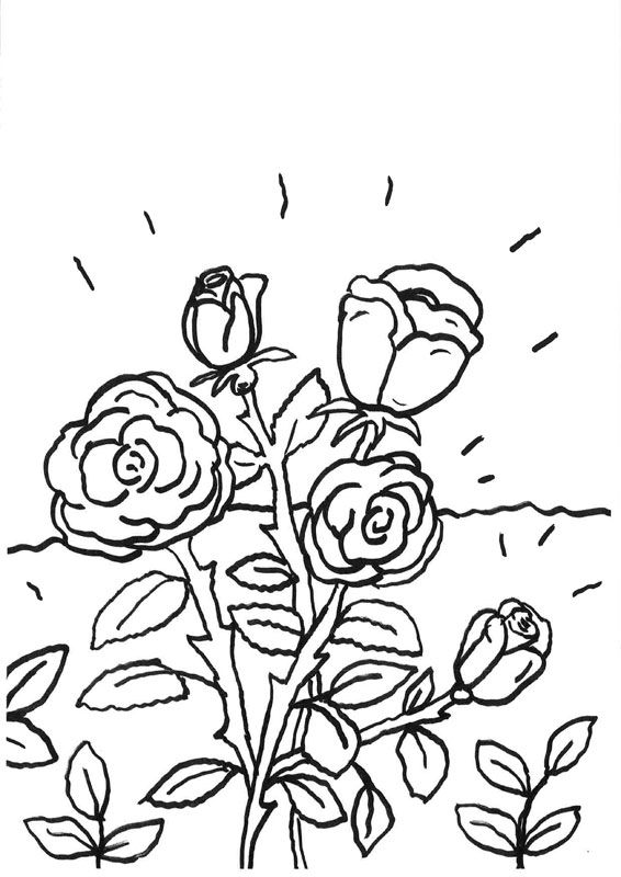 Rosas: dibujo para colorear e imprimir