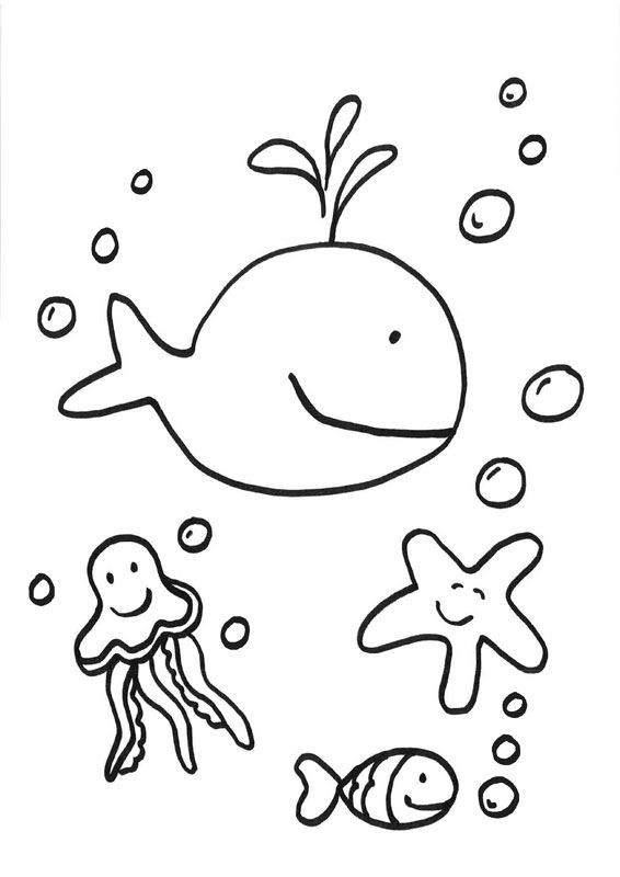 Bebé ballena: dibujos para colorear e imprimir