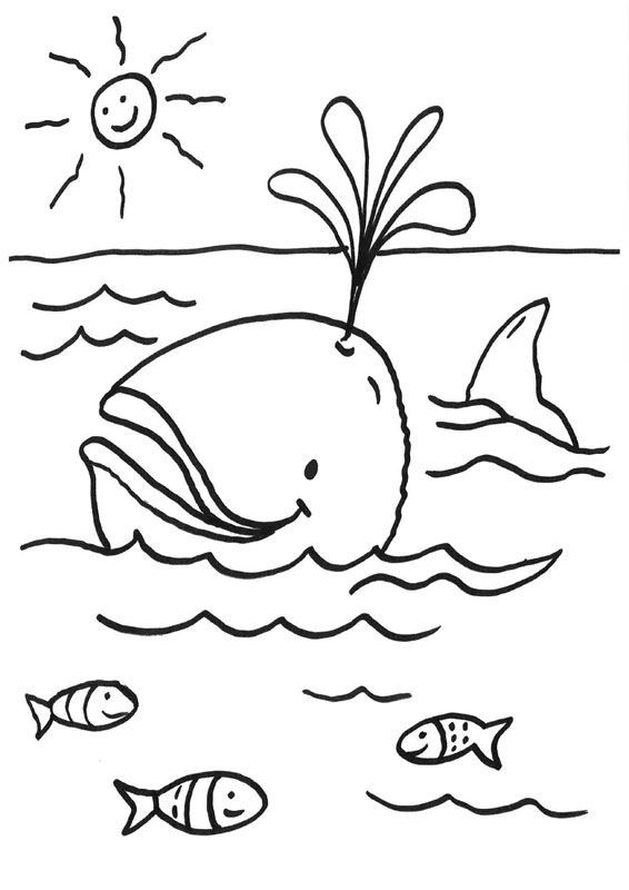 Ballena echando agua: dibujo para colorear e imprimir