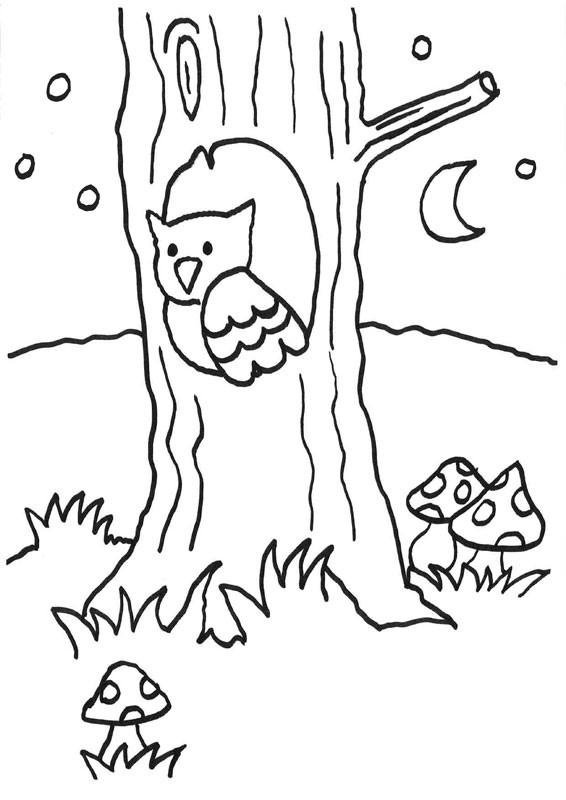 Búho en un tronco: dibujo para colorear e imprimir