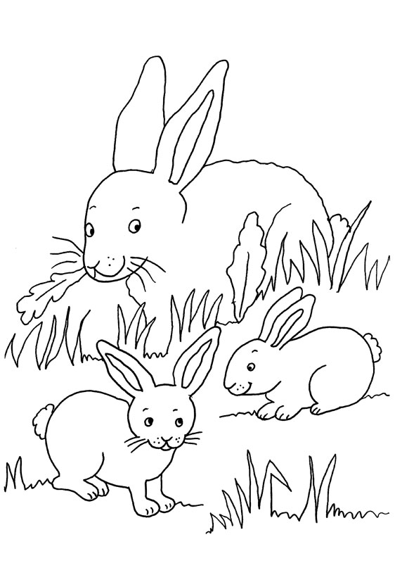 Dibujo para colorear de una mamá conejoy sus bebés conejos