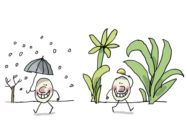 2. Virus invernal