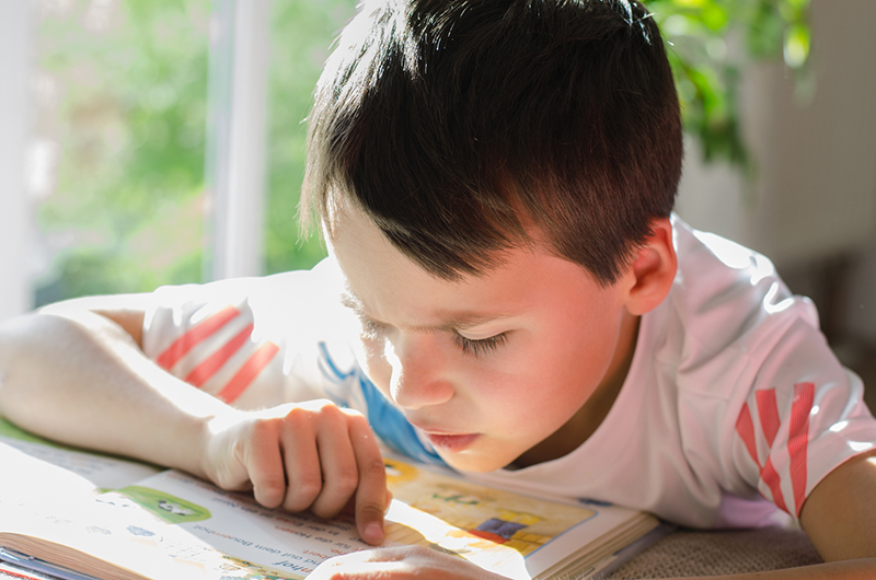 reducir Ordinario eficientemente El camino de aprender a leer