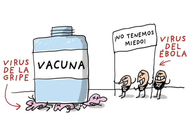 7 La vacunación