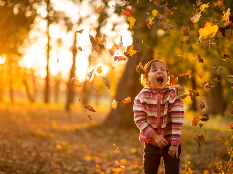 otoño con los niños