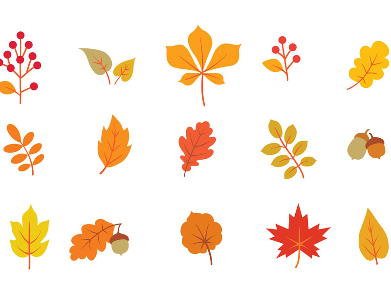 Hojas de otoño para colorear: dibujos infantiles para pintar