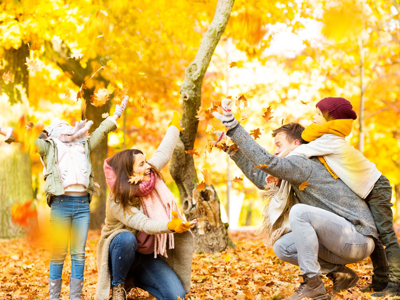 12 actividades para explicar el otoño a los niños 12 actividades para explicar el otoño a los niños