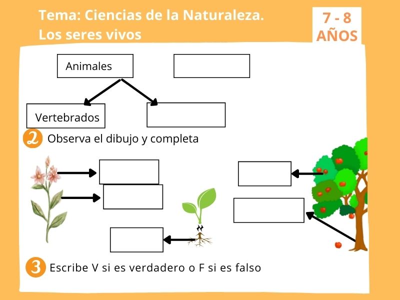 Los seres vivos Ejercicio de Ciencias Naturales para º de Primaria