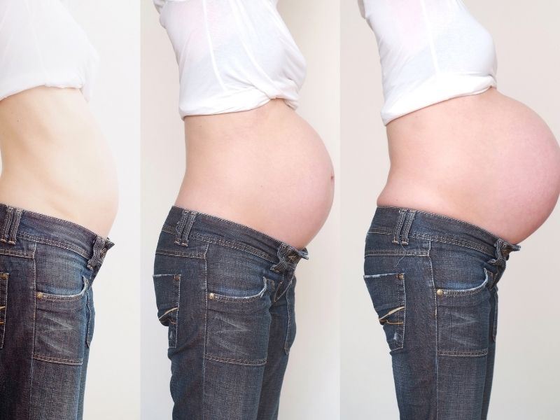 Reducción de precios Bocadillo Podrido Embarazo: ¿cómo cambia mi cuerpo?